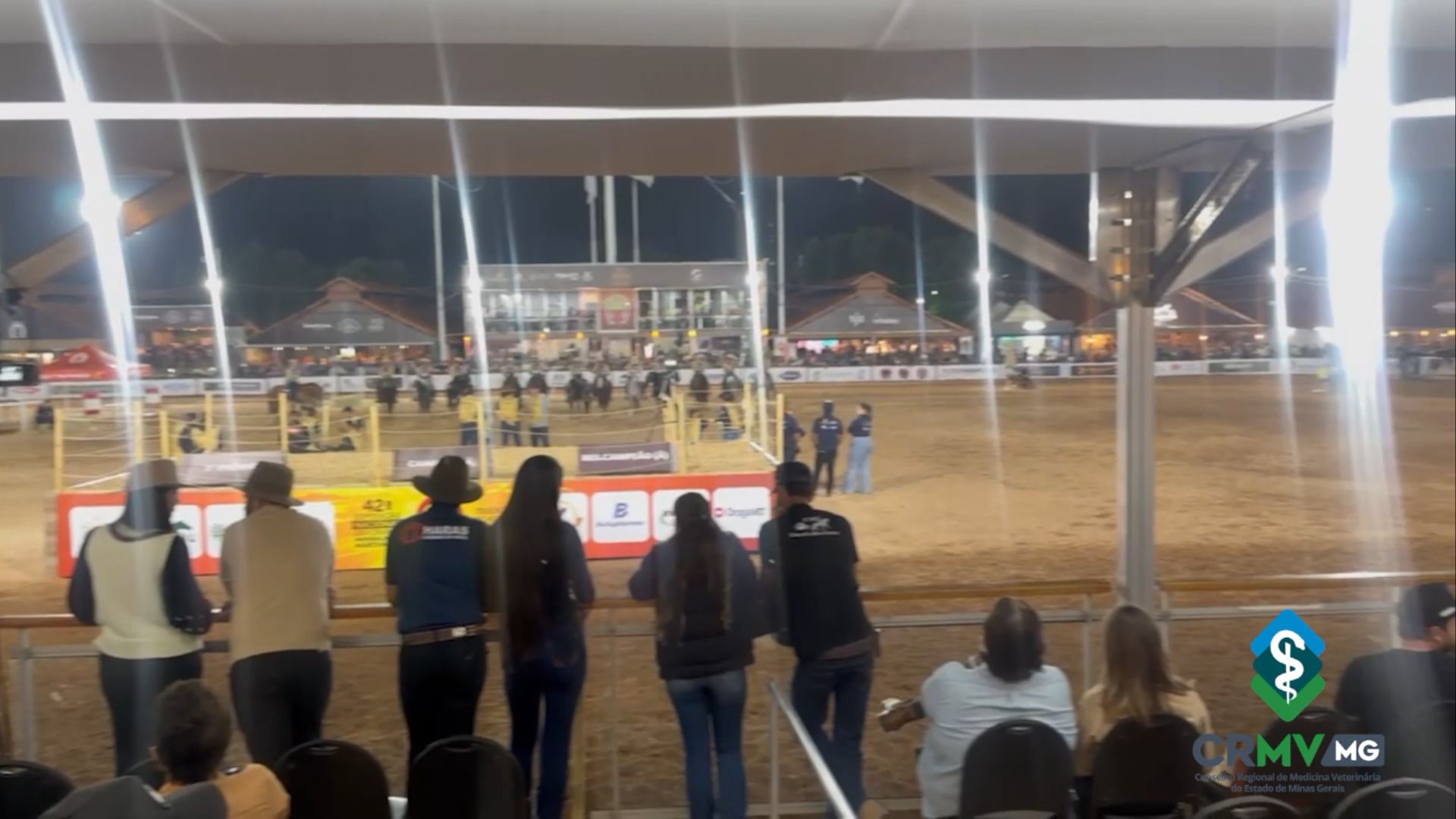 Agropecuária com segurança: como o veterinário garante a saúde do gado em exposições