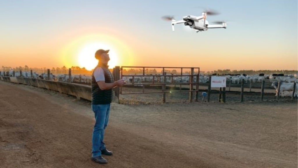Operador de drone em área de confinamento de bovinos de corte. Foto: Divulgação