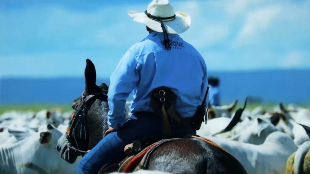 Líder mundial: 1 a cada 5 quilos de carne exportada é do Brasil. Entenda