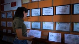 Avicultura moderna: a história de Luciana Portugal na Fazenda Alta Conquista