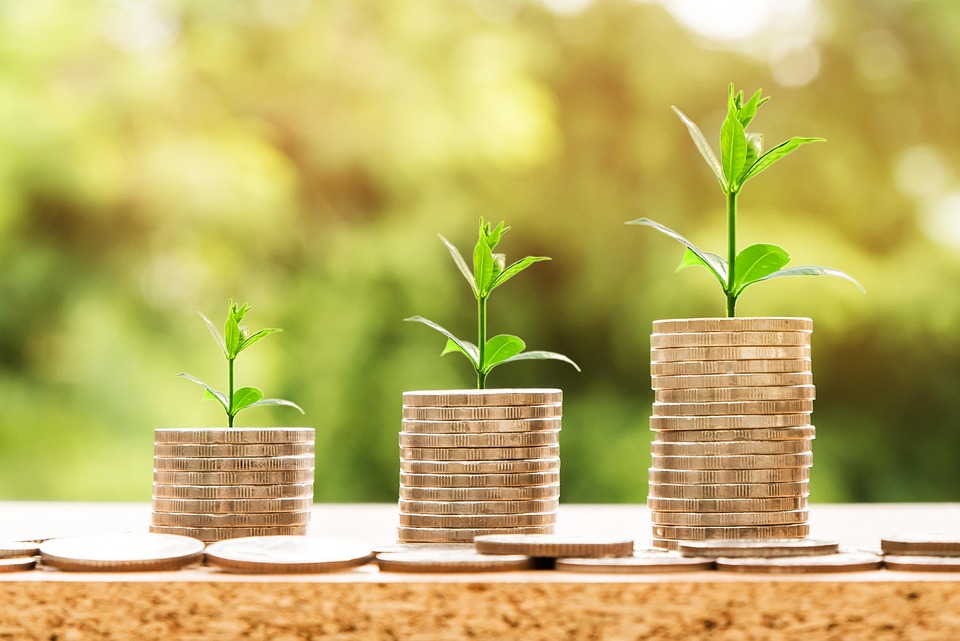 Salário da agropecuária no Paraná supera média nacional em 58,5%