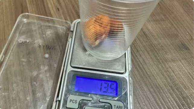 Polícia Militar de Minas Gerais Polícia Militar de Minas Gerais