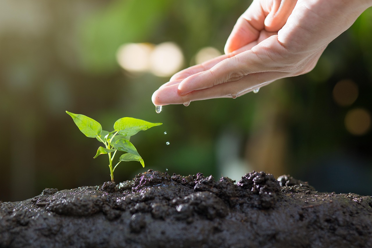 Clima e segurança alimentar: evento em Porto Alegre foca nos biomas do Sul