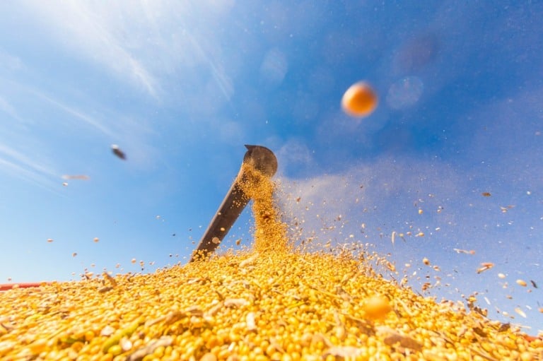 Descarregamento de Soja