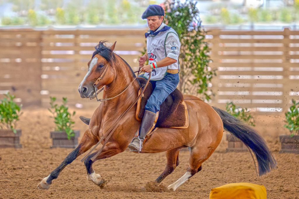 Fêmea Freio de Ouro 2025