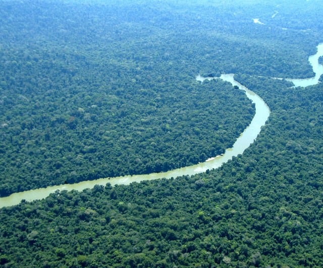 Amazônia e Mata Atlântica