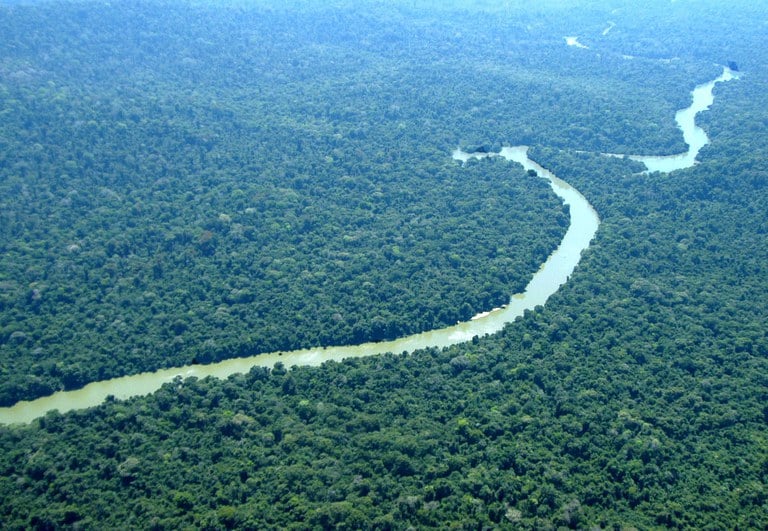 Amazônia e Cerrado registram queda de 11% no desmatamento