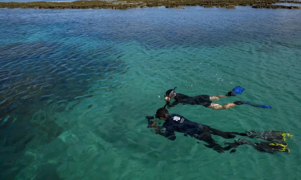 Fernando de Noronha Fernando de Noronha