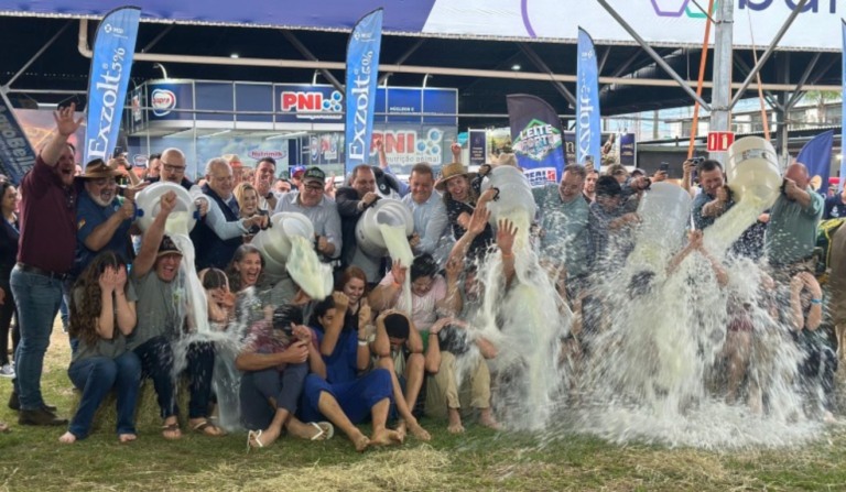 Banho de leite: competição leiteira da Expointer registra recorde