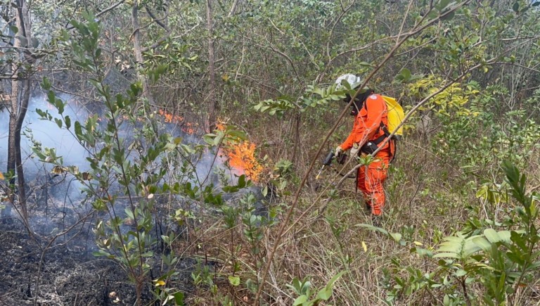 Bombeiros durante combate ao fogo no cerrado
