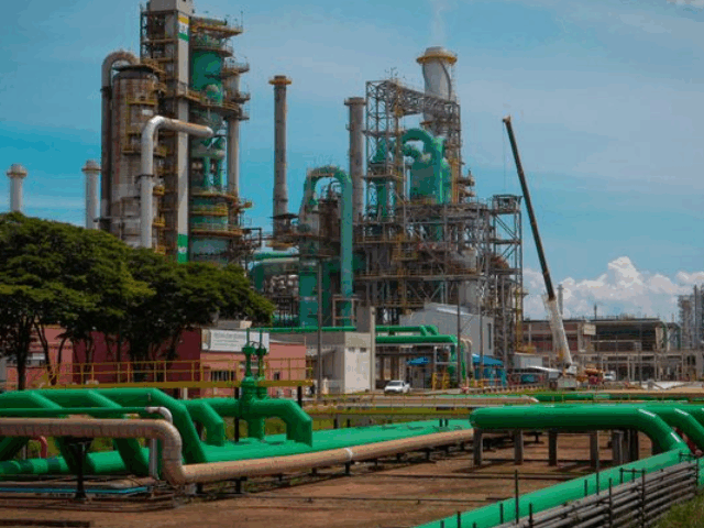 Combustível; Petrobras