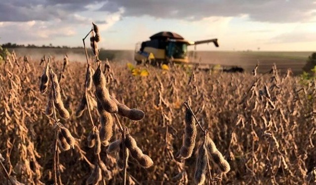 Divulgação Aprosoja Tocantins 