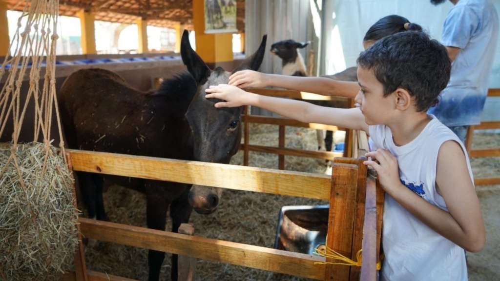 Expo Rio Preto 2025: nova fase do evento se dedica a animais de corte e inovações no agro. Foto: Divulgação/Marcos Morelli.