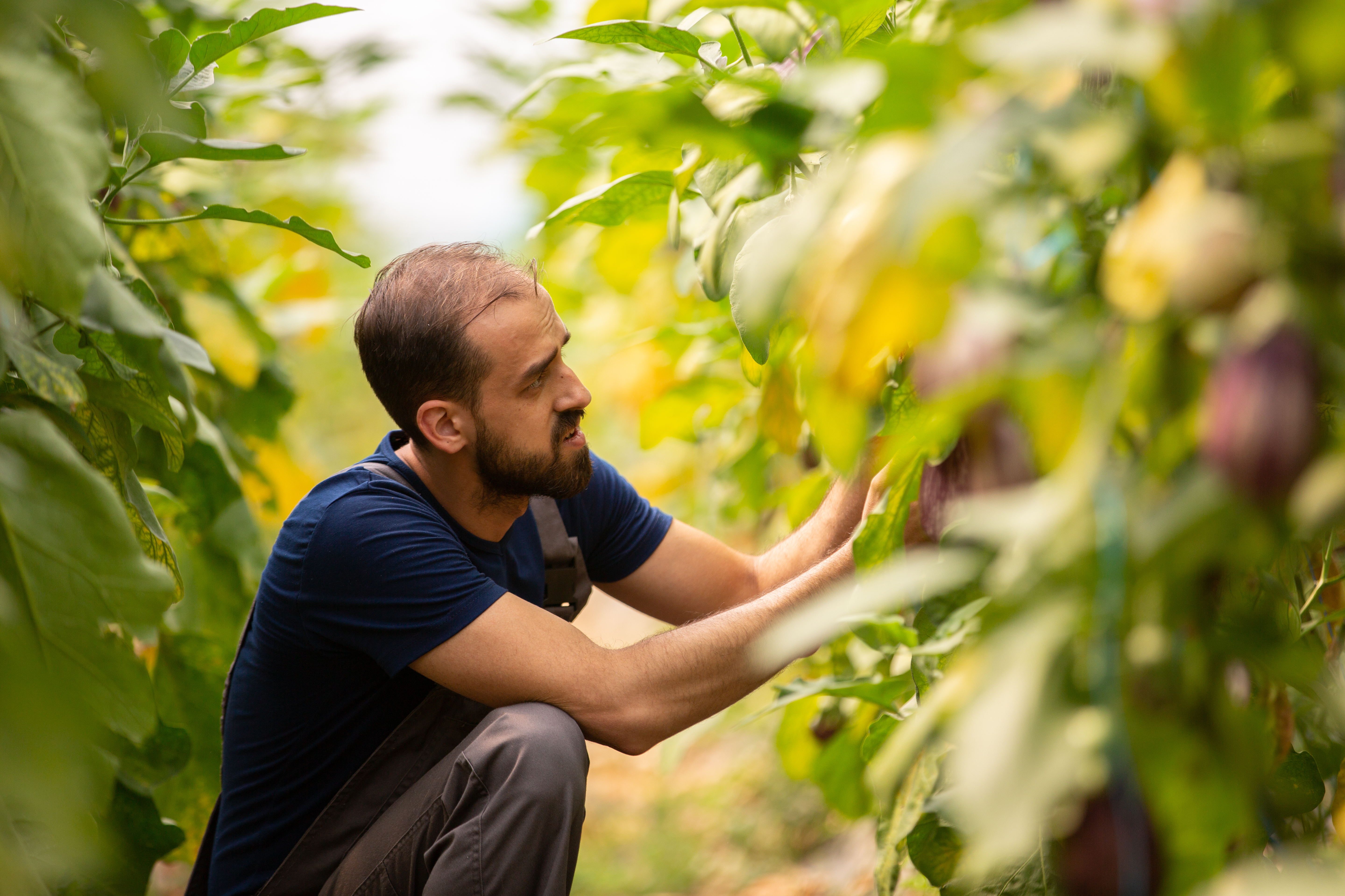 Congresso de Marketing do Agro ABMRA destaca pessoas, processos e tecnologia no setor