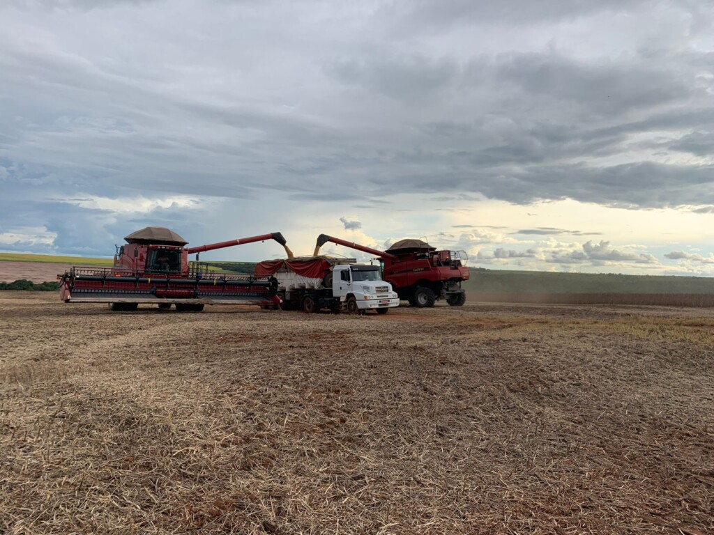 Cade analisará recurso contra a suspensão da Moratória da Soja
