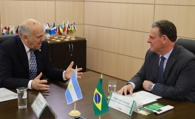 Brasil e Argentina discutem protocolo comum para comércio de carne de frango