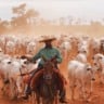 Brasil no topo: a ASBIA e a genética que nos fará o maior produtor de carne