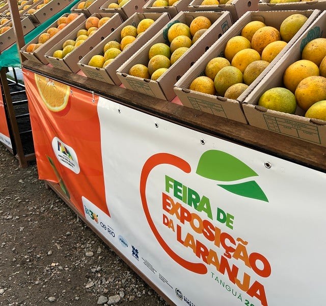 Bancada da feira com laranjas expostas