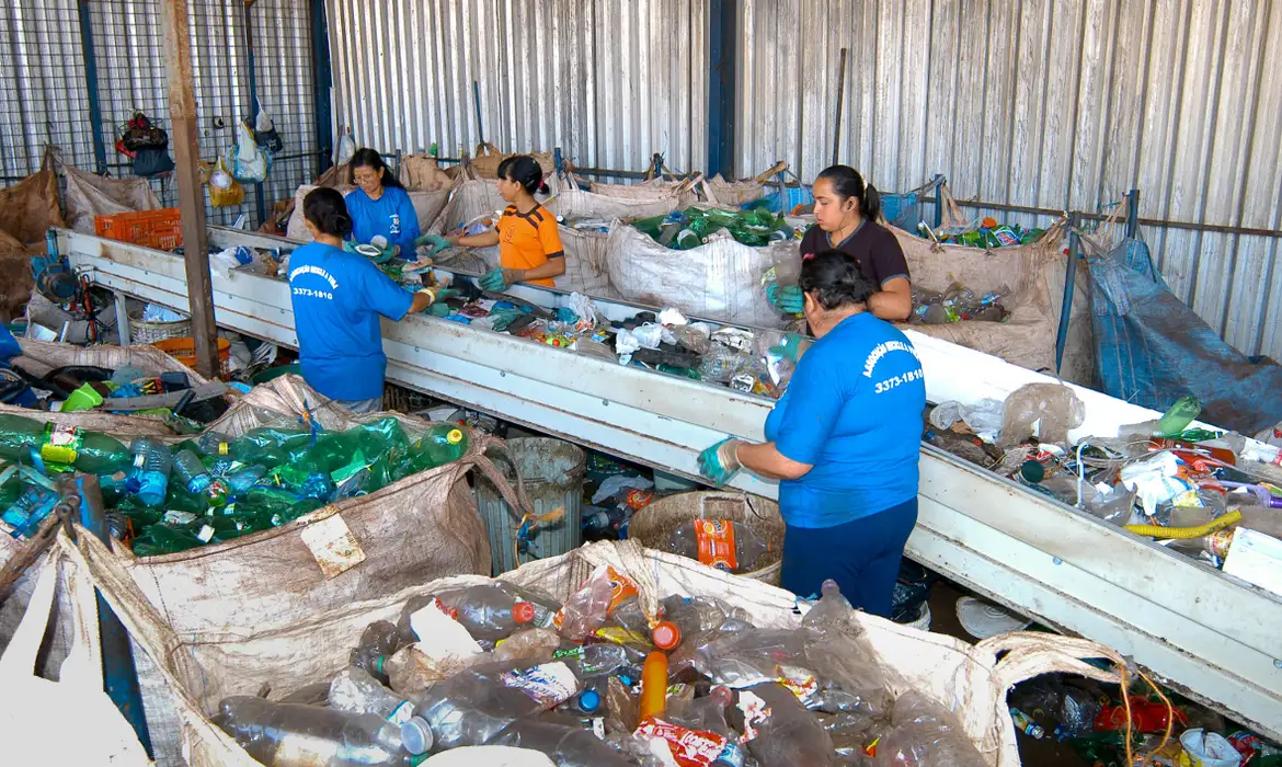 Produção de plástico reciclado cresce 7,8% em 2024, com agroindústria alcançando alta de 35%