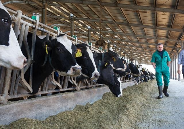 Farmácia da Pecuária Zoetis