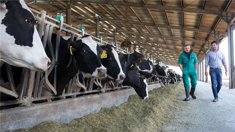 Farmácia da Pecuária Zoetis Farmácia da Pecuária Zoetis