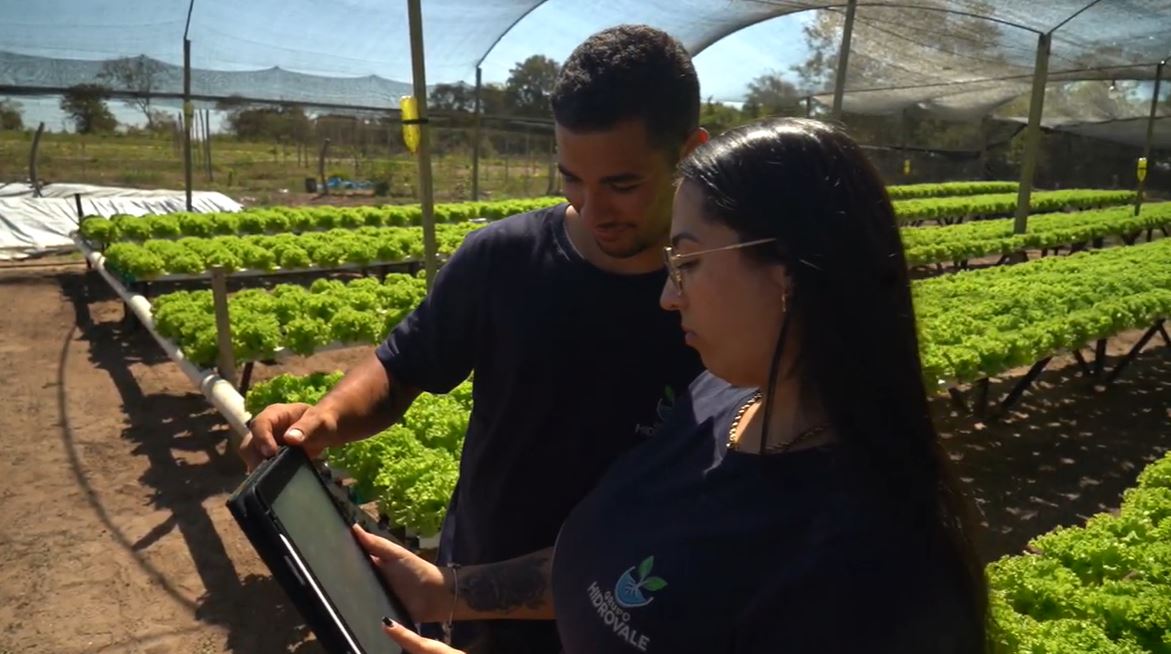 Na foto, há um casal olhando um tablet em meio à plantação de alface