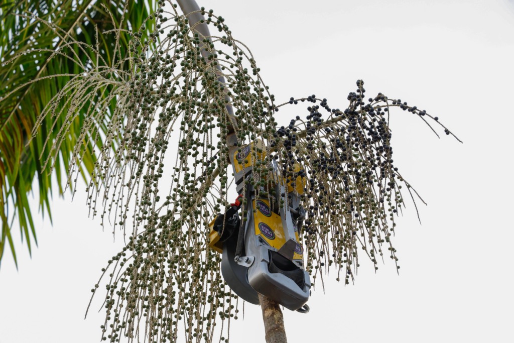 Ministério da Integração e do Desenvolvimento Regional