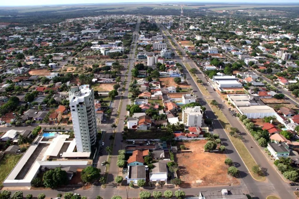 Soja faz cidade ter maior PIB agrícola do país; saiba qual é