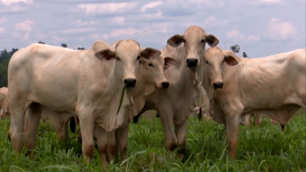 Como a vermifugação na primavera impulsiona a lucratividade Como a vermifugação na primavera impulsiona a lucratividade
