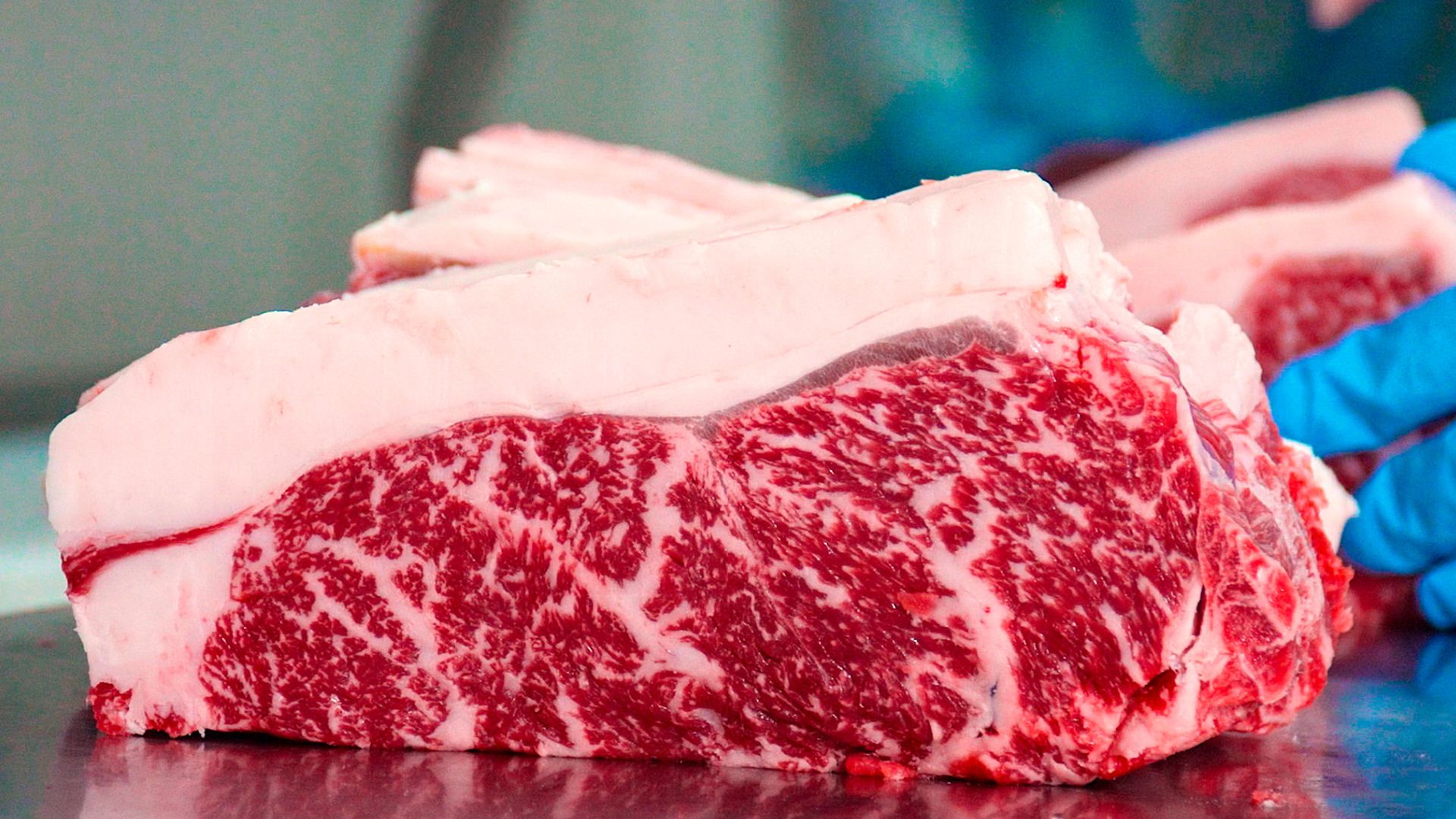 Leilão beneficente vai ofertar carne de wagyu com marmoreio máximo; saiba mais
