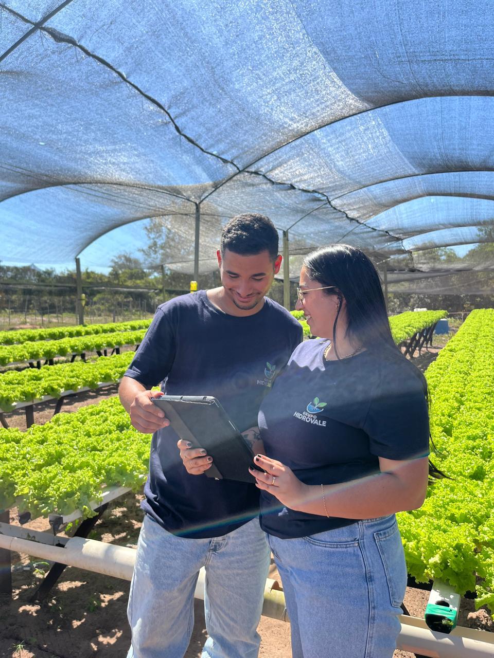 Na foto, aparece um casal e ao fundo a produção de alface em MT Na foto, aparece um casal e ao fundo a produção de alface em MT