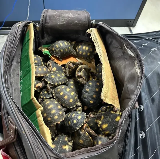 Polícia Civil do Rio de Janeiro