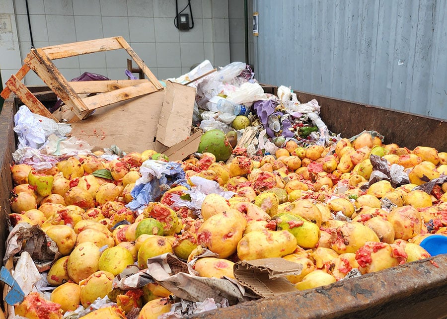 Resíduos de frutas e verduras são usados na produção de energia