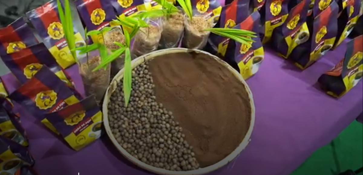 Pacotes de 'Café de açaí, mudas de açaí e caroços de açaí