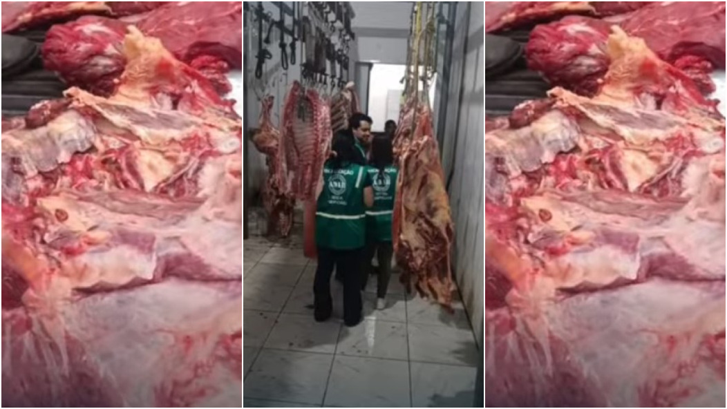 carne contaminada tuberculose