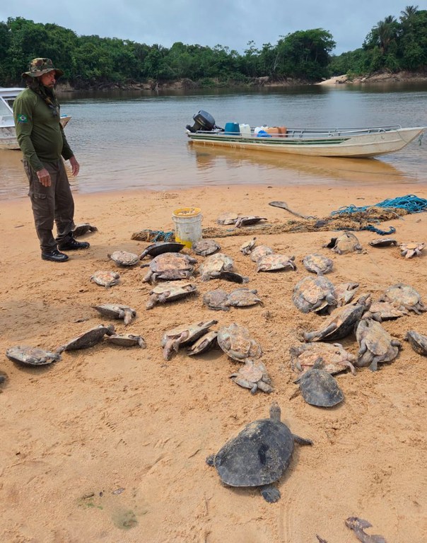 Fiscalização flagra pesca predatória e apreende tartarugas, ovos, barcos e redes