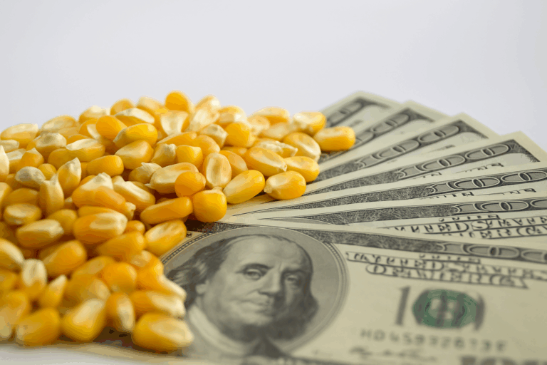 preços do milho
