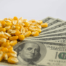 preços do milho