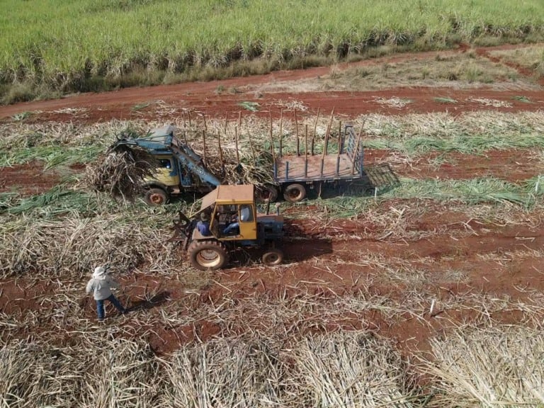produtividade da cana-de-açúcar
