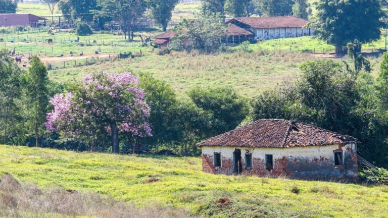 Nova lei do Ibama: entenda como a regularidade de toda a fazenda evita multas