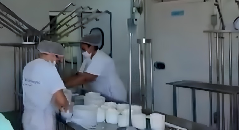 Na foto, aparece uma queijaria em que uma pessoa está embalando queijos