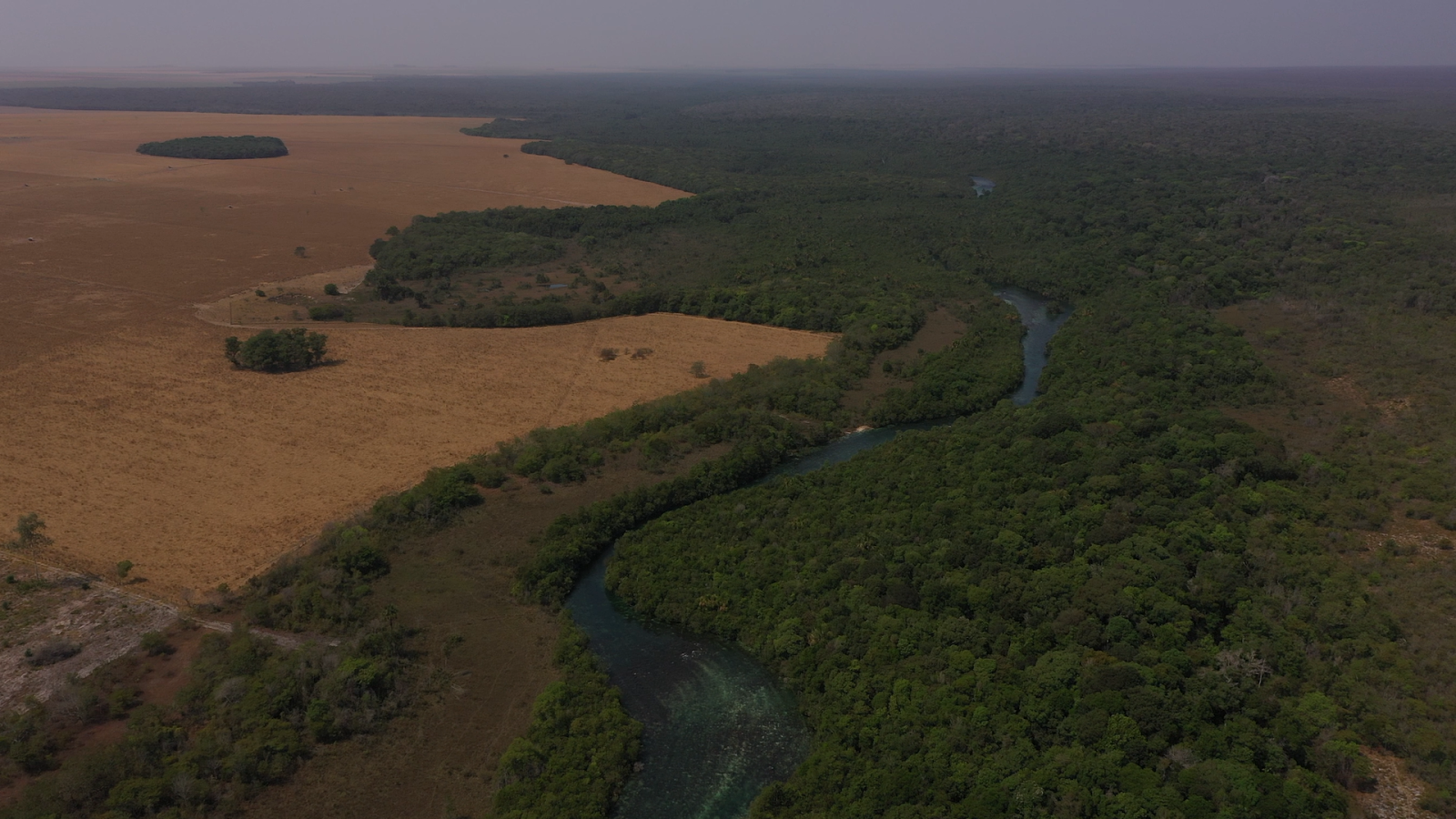 Plano Clima desconsidera ações sustentáveis do agro, diz Tirso Meirelles