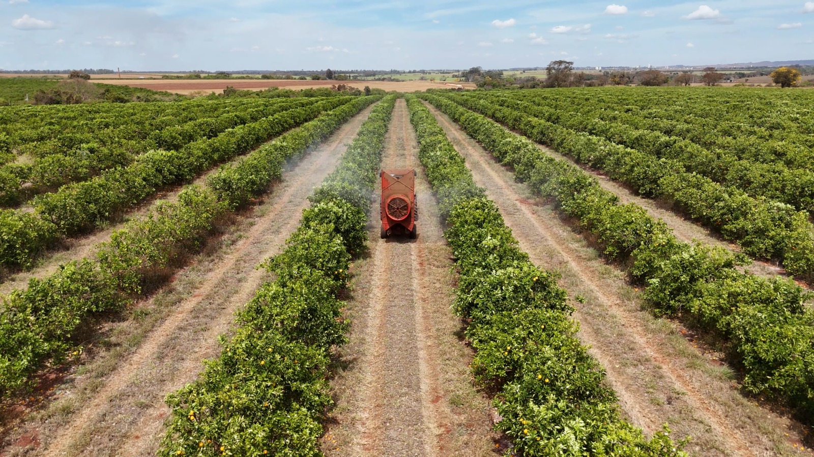 Fertilizantes foliares garantem mais produtividade e eficiência com aplicação precisa