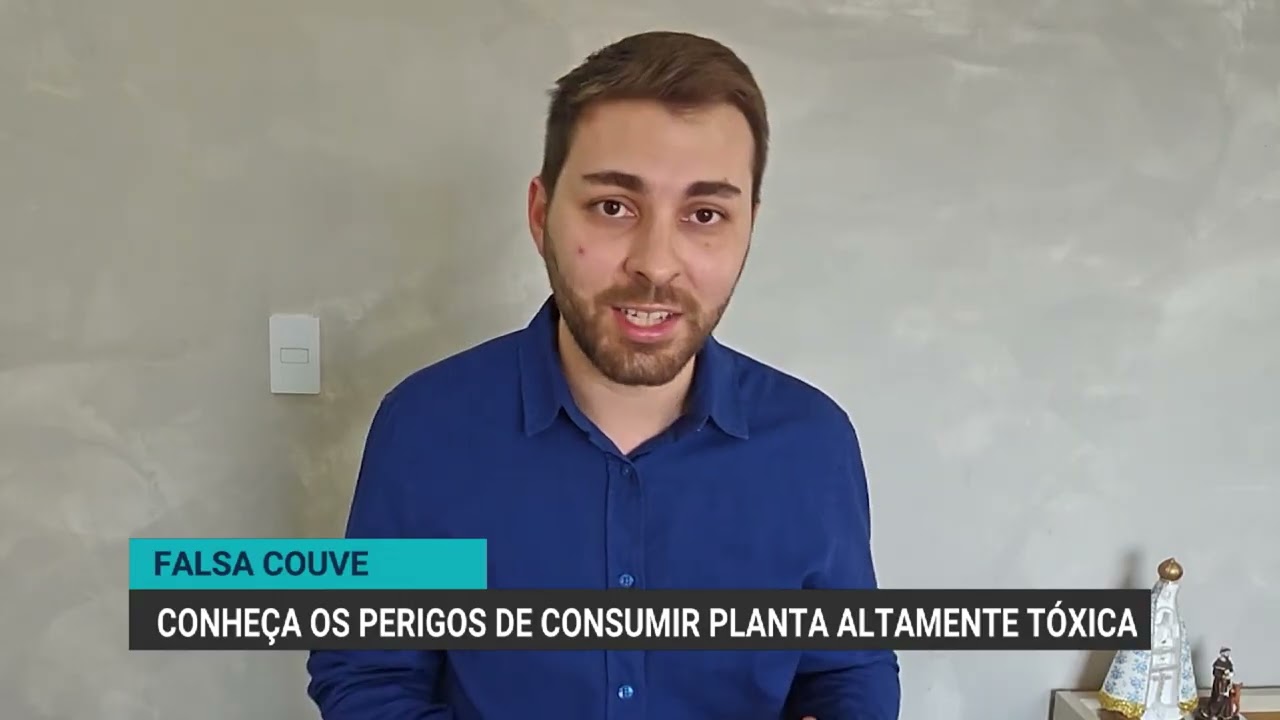 Planta que matou mulher: como diferenciar a ‘falsa couve’ da verdadeira