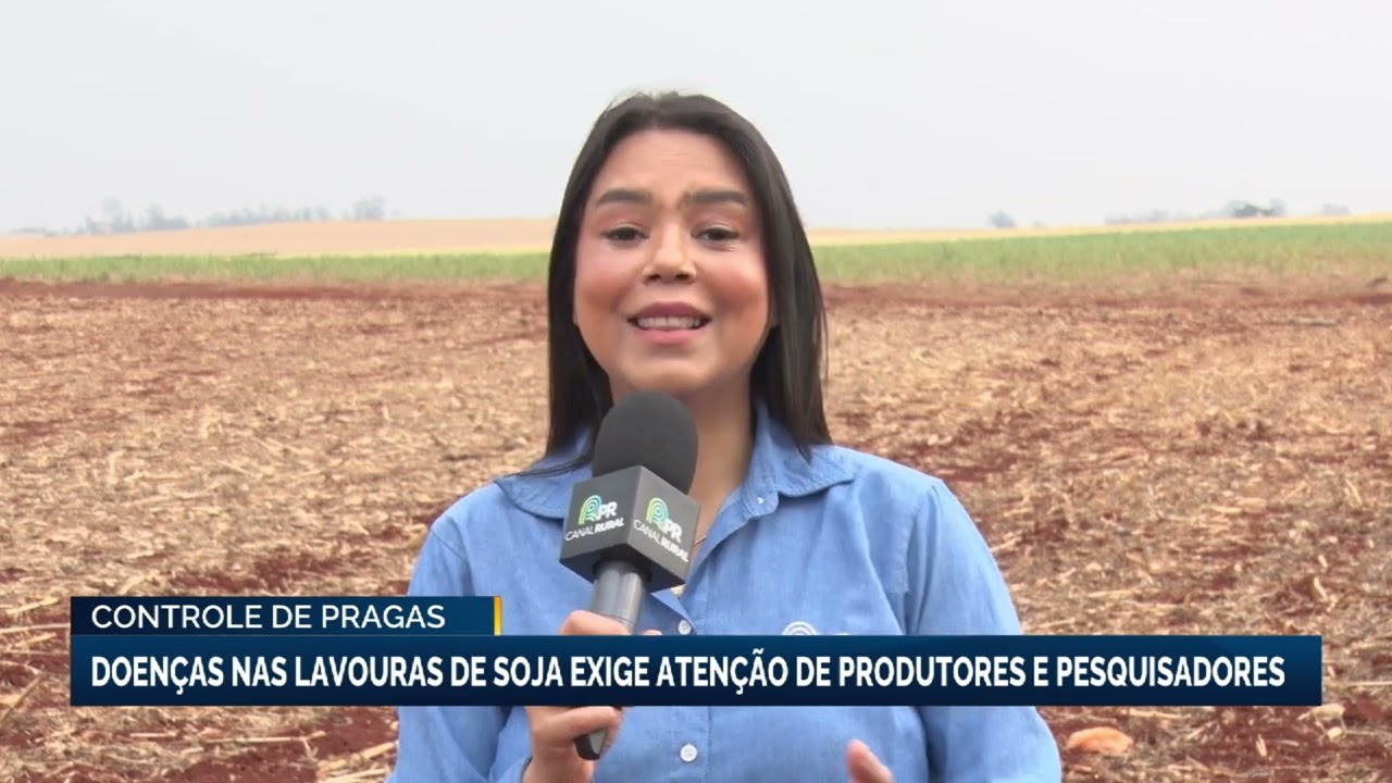 La Niña favorece surgimento de pragas que ameaçam lavouras de soja, alerta Embrapa