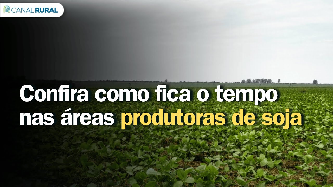 Meteorologista antecipa previsão para outubro; clima deve favorecer trabalho no campo?