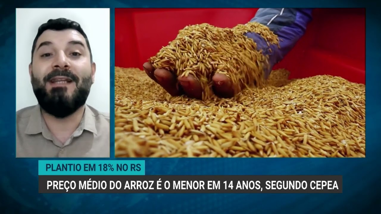 Preço do arroz atinge menor nível em 14 anos e preocupa produtores
