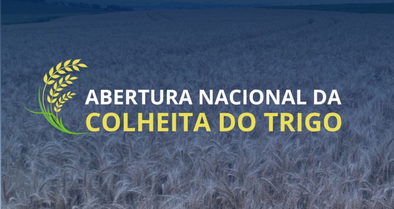 Abertura nacional da colheita de trigo nesta quinta-feira (9) no RS