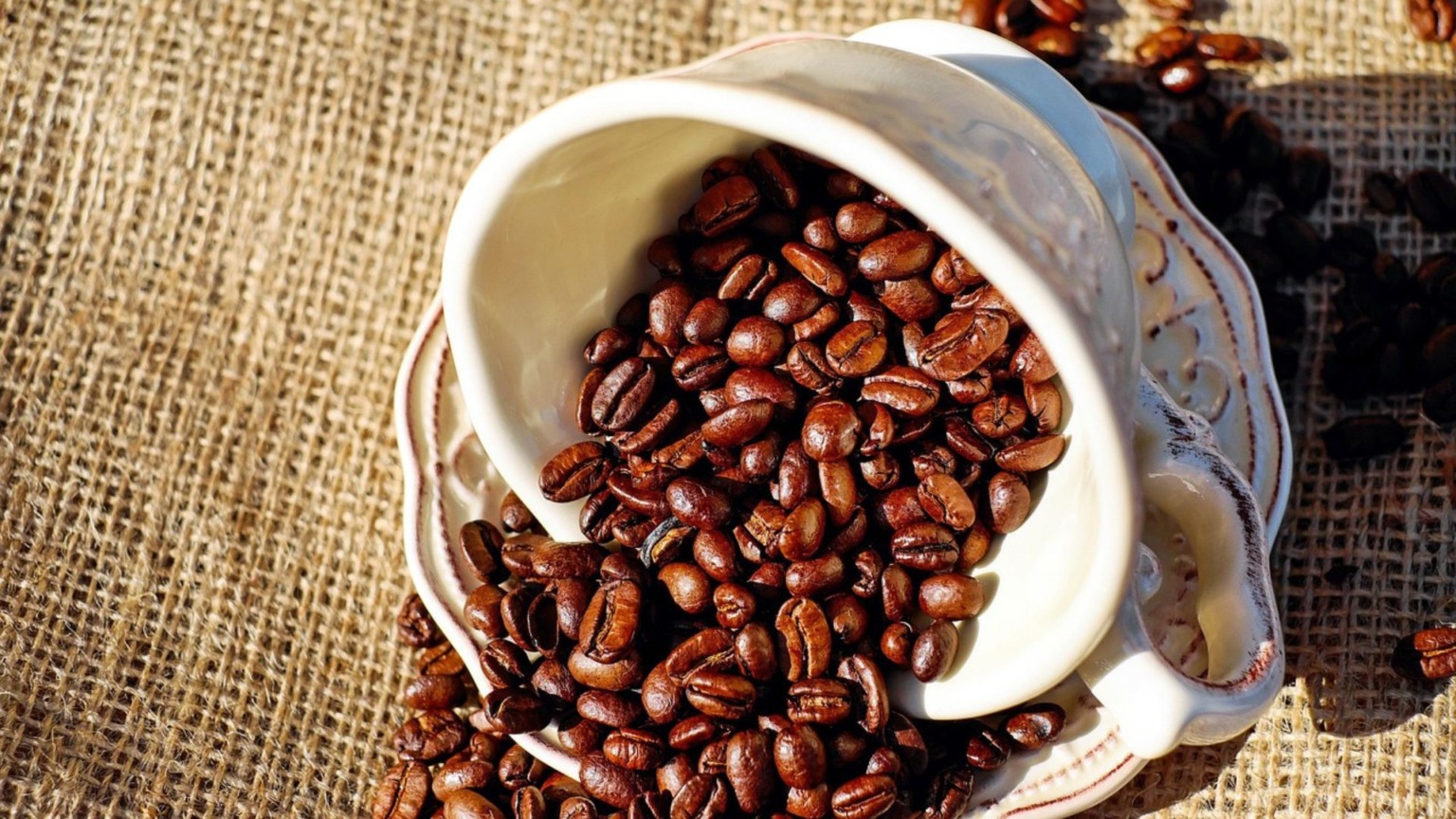 Retirada da tarifa de 10% dos EUA mantém risco competitivo ao café brasileiro