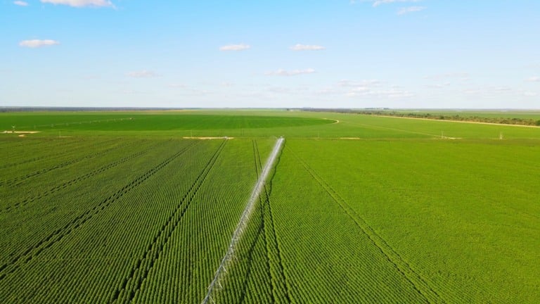 plantio antecipado de soja cresce no oeste da bahia, aponta aiba